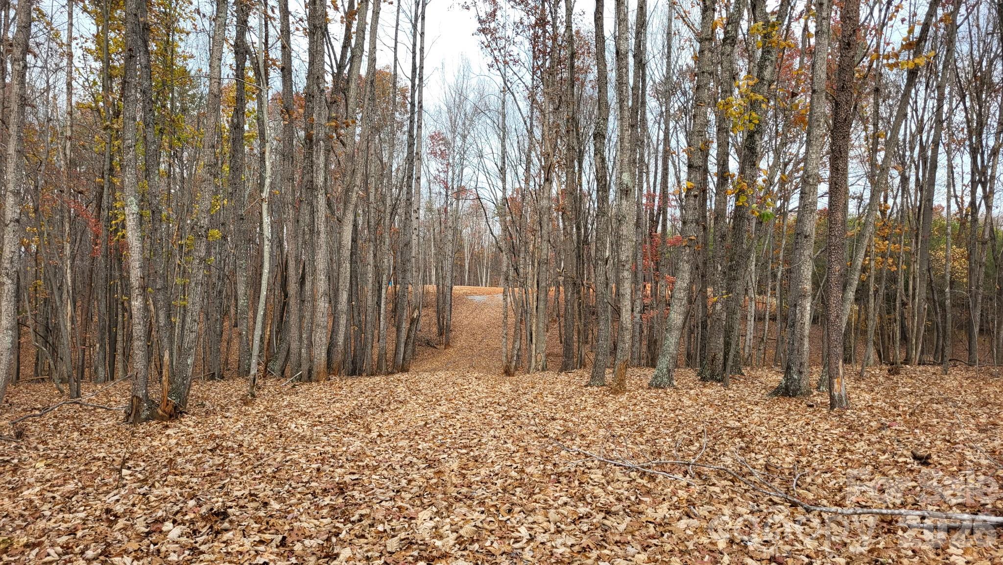 1056 Stephens Trail Road Sandy Ridge NC 27046