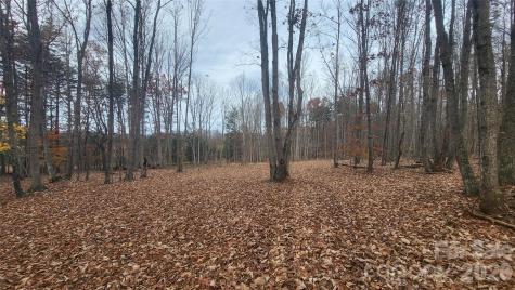 1056 Stephens Trail Road Sandy Ridge NC 27046