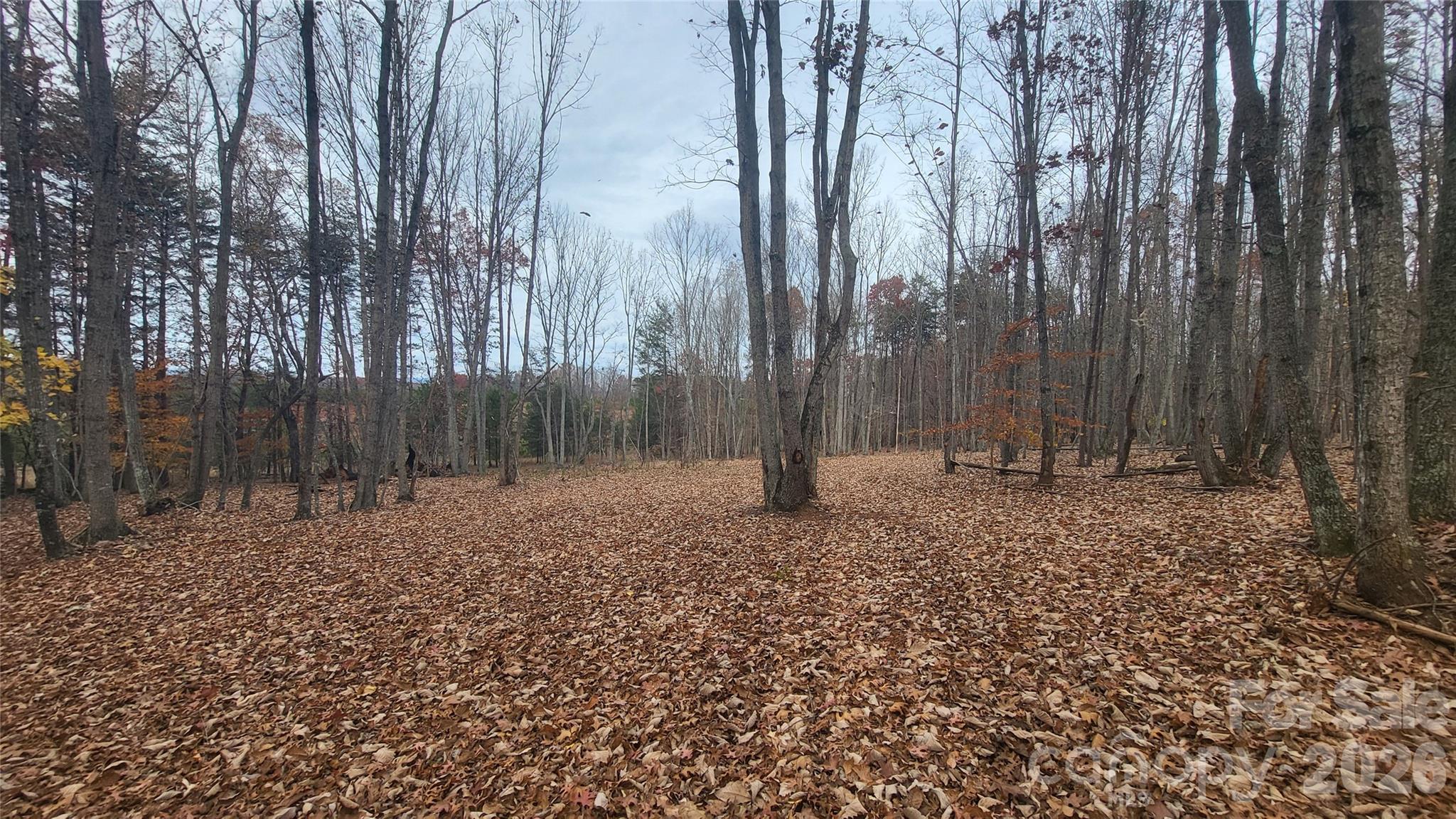 1056 Stephens Trail Road Sandy Ridge NC 27046