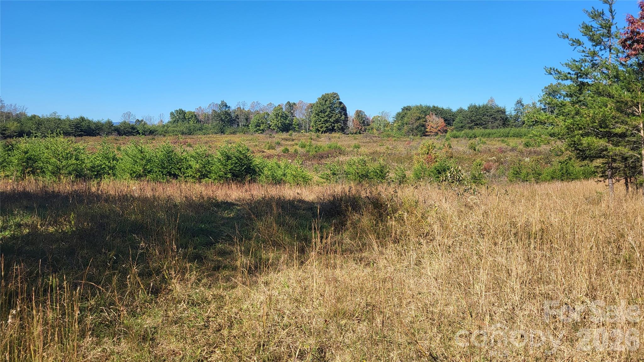 1056 Stephens Trail Road Sandy Ridge NC 27046