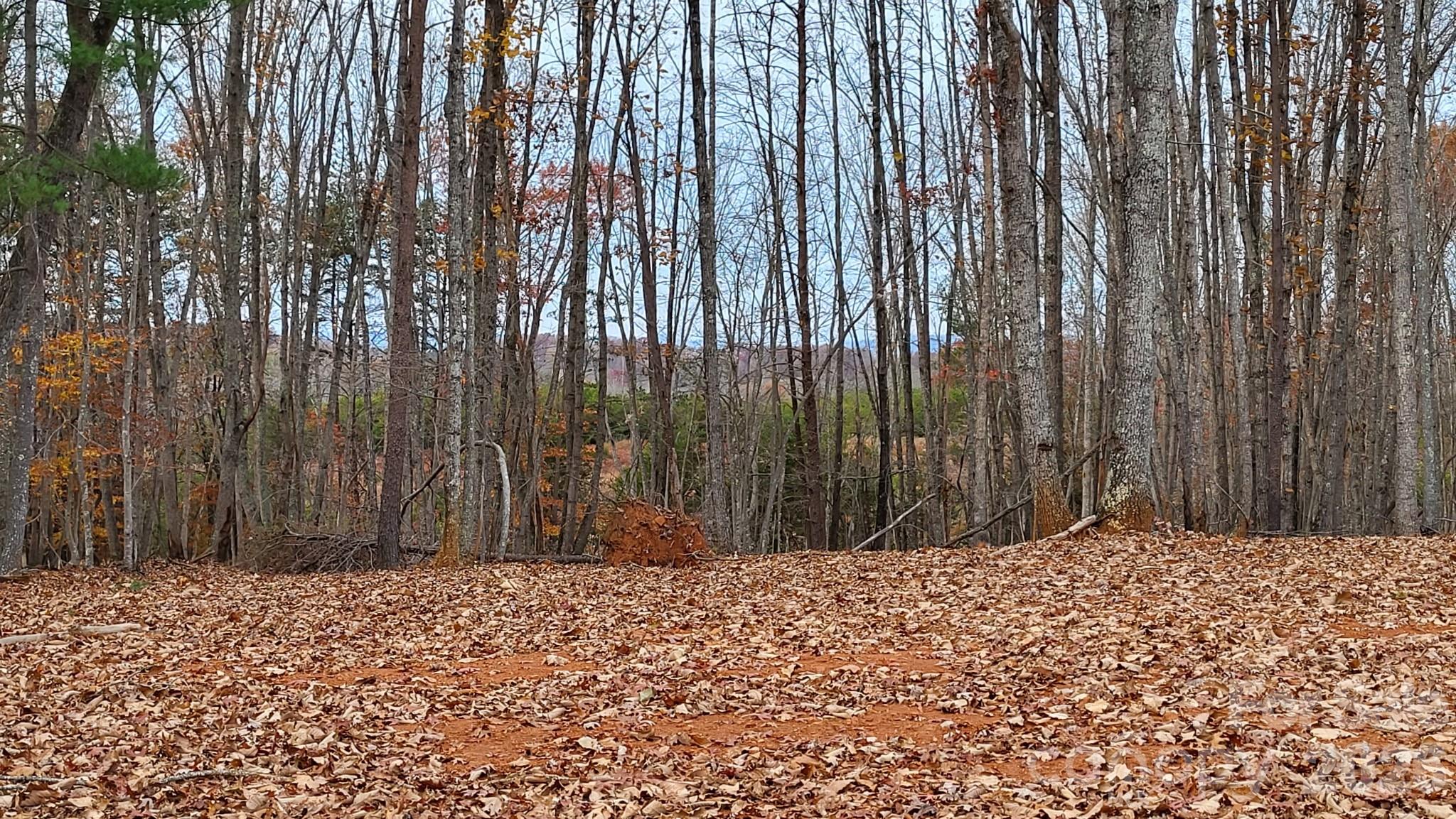 1056 Stephens Trail Road Sandy Ridge NC 27046