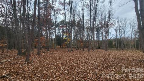 1056 Stephens Trail Road Sandy Ridge NC 27046