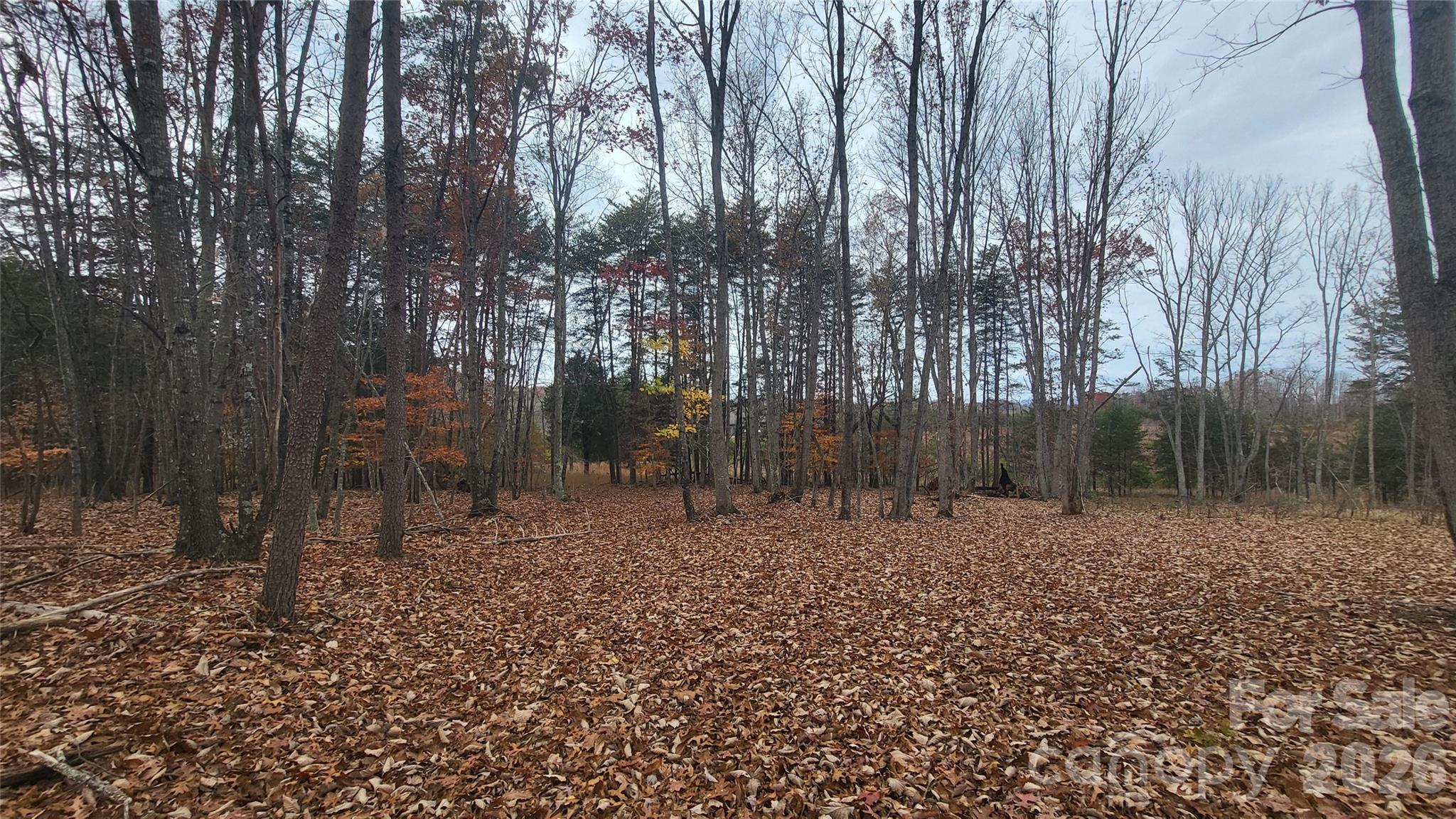 1056 Stephens Trail Road Sandy Ridge NC 27046