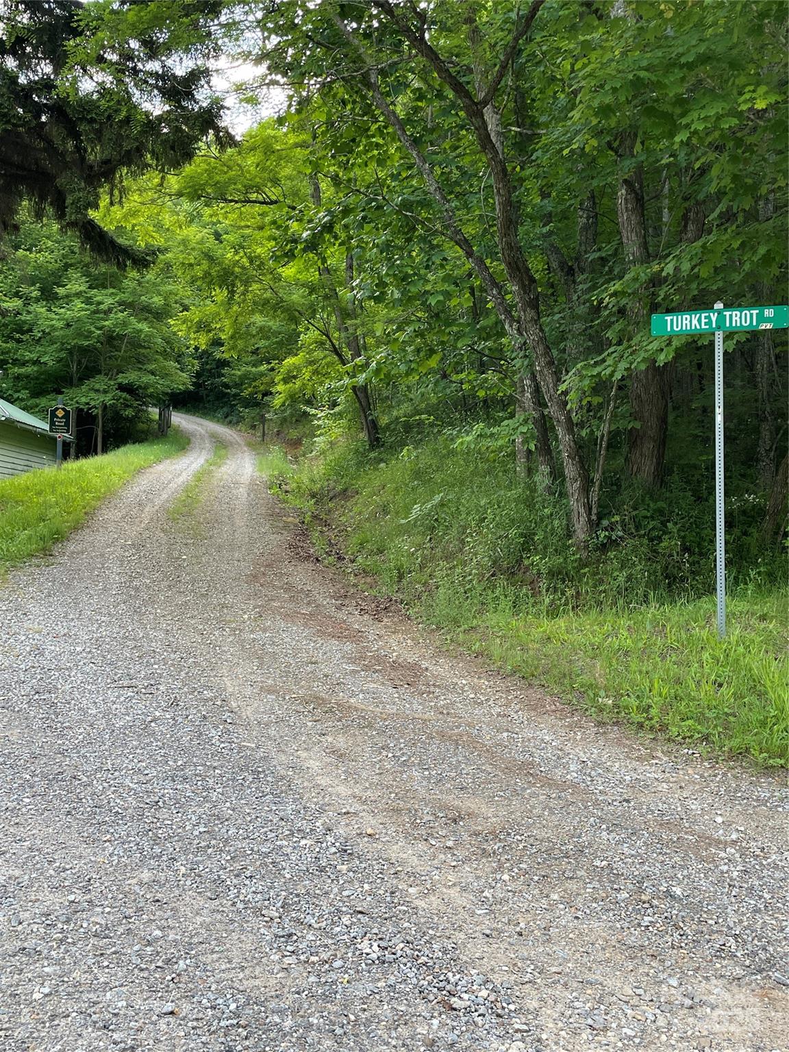 Tract 2 Turkey Trot Road Clyde NC 28721