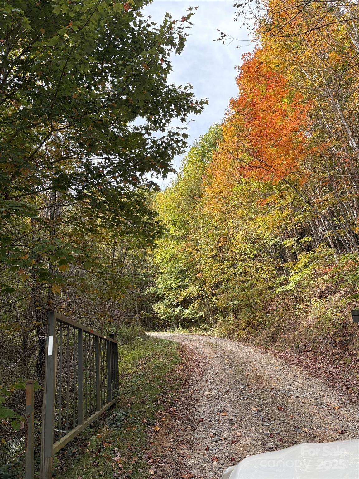 Tract 2 Turkey Trot Road Clyde NC 28721