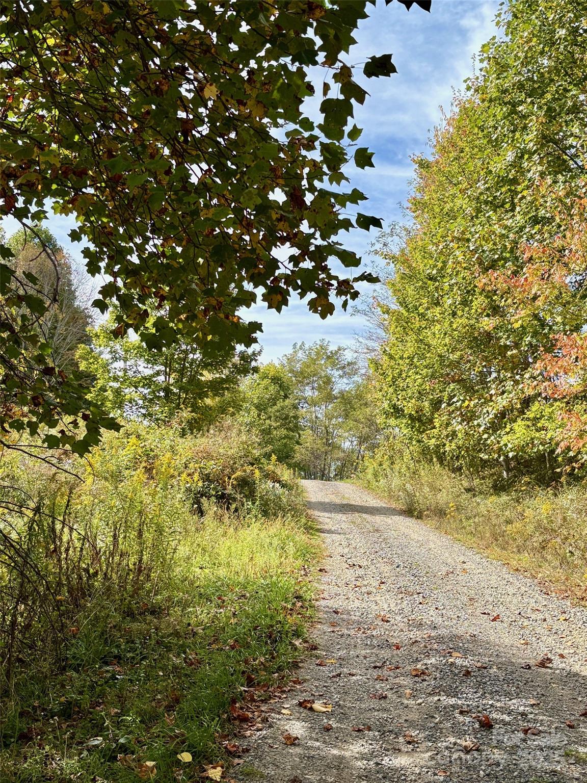 Tract 2 Turkey Trot Road Clyde NC 28721