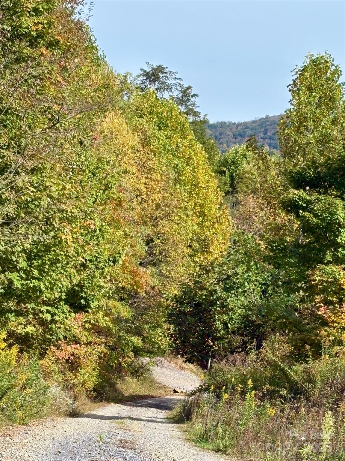 Tract 2 Turkey Trot Road Clyde NC 28721