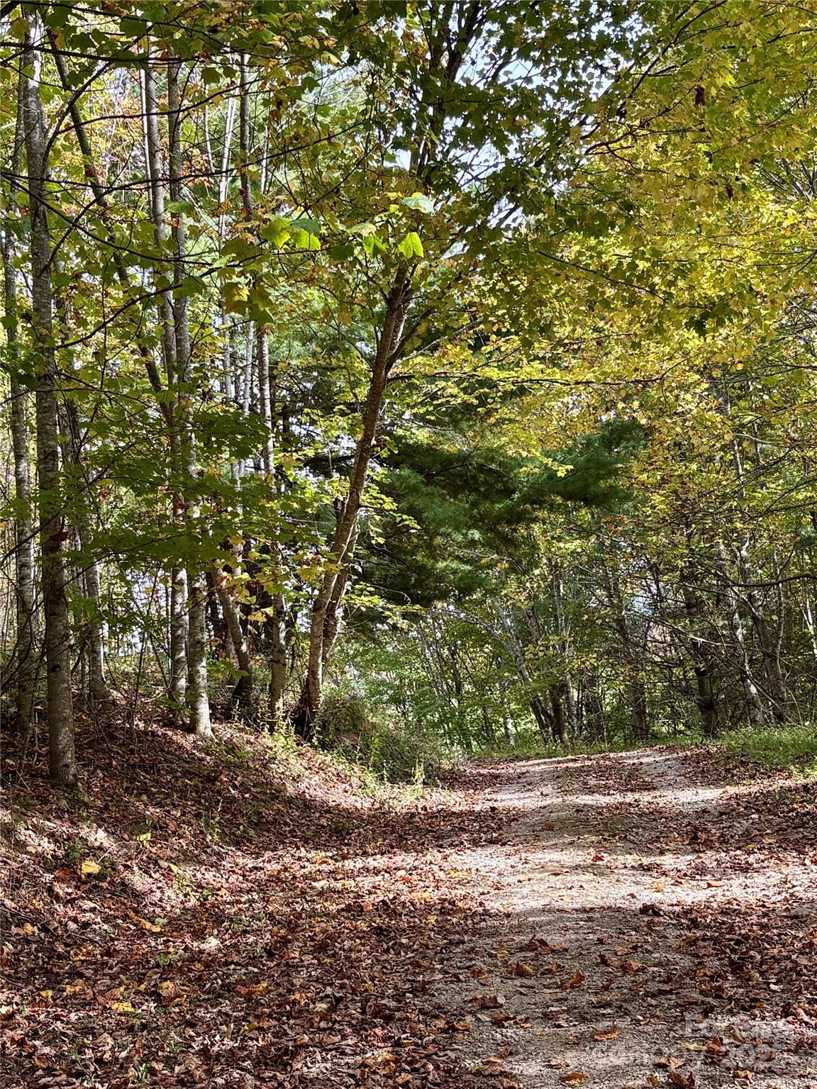 Tract 2 Turkey Trot Road Clyde NC 28721