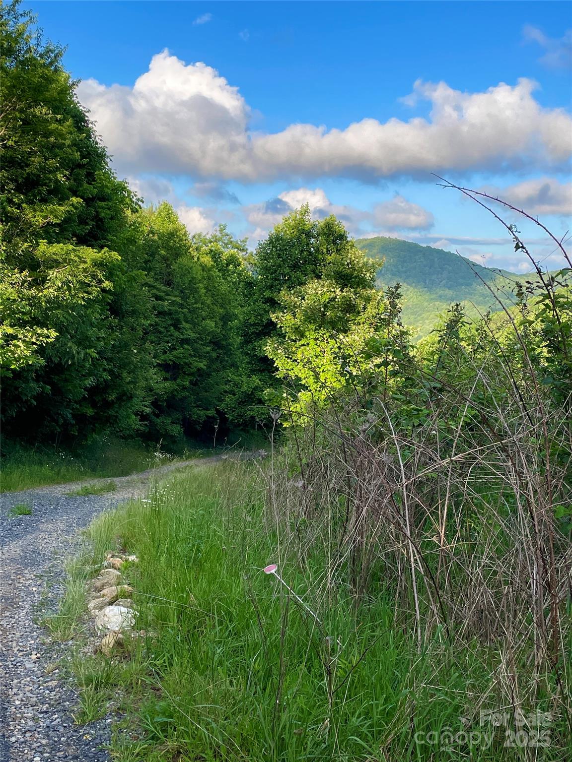 Tract 2 Turkey Trot Road Clyde NC 28721