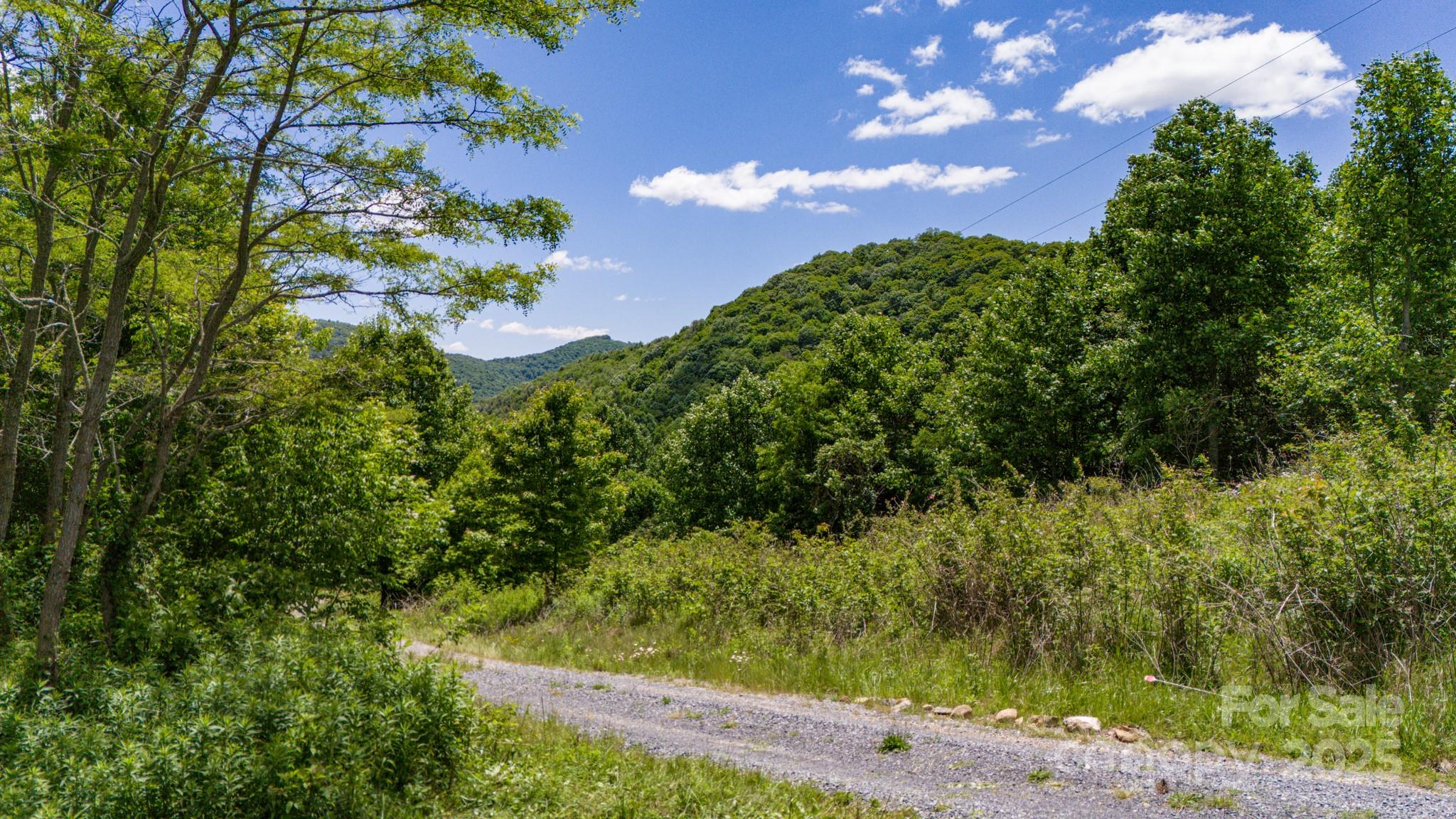Tract 2 Turkey Trot Road Clyde NC 28721