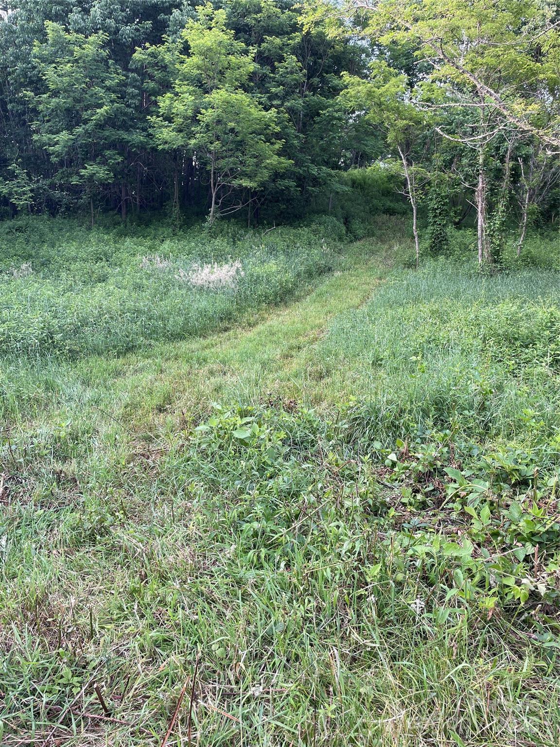 Tract 2 Turkey Trot Road Clyde NC 28721