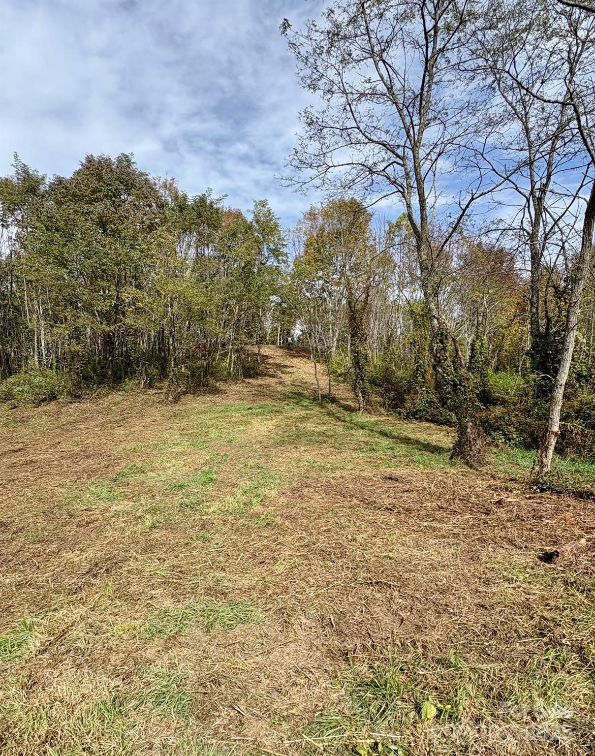Tract 2 Turkey Trot Road Clyde NC 28721
