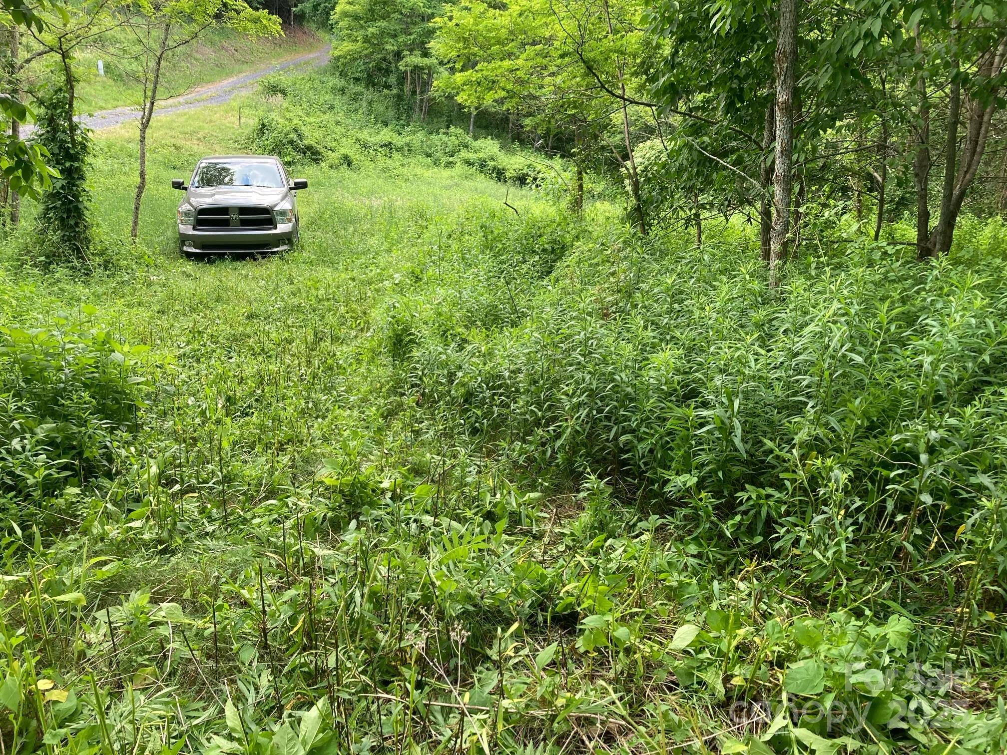 Tract 2 Turkey Trot Road Clyde NC 28721