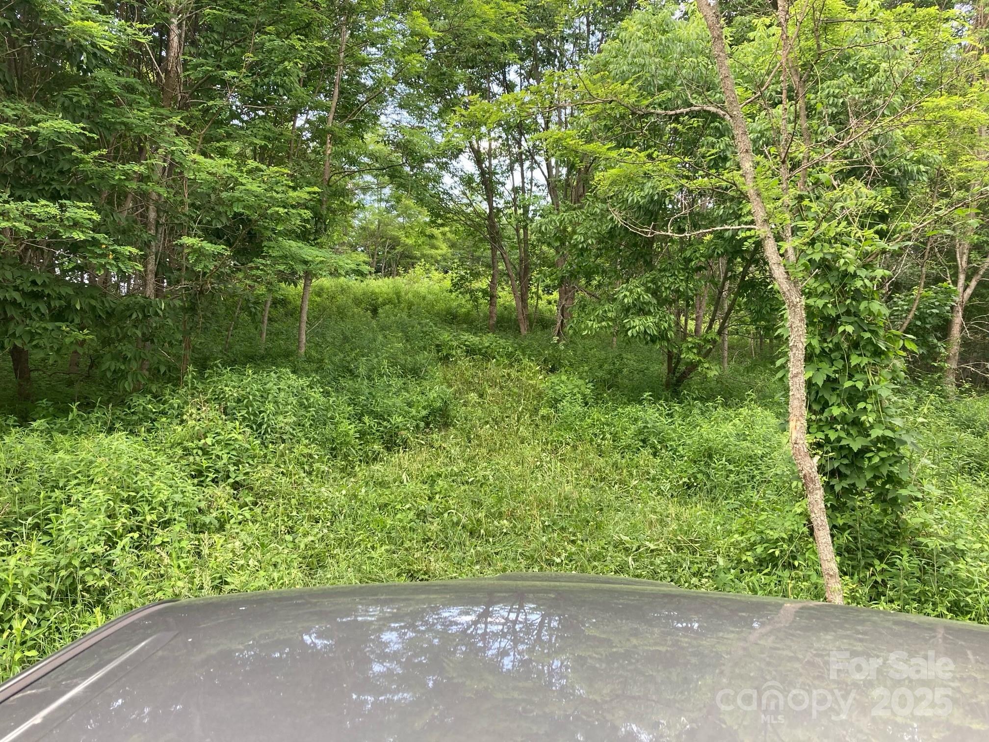 Tract 2 Turkey Trot Road Clyde NC 28721