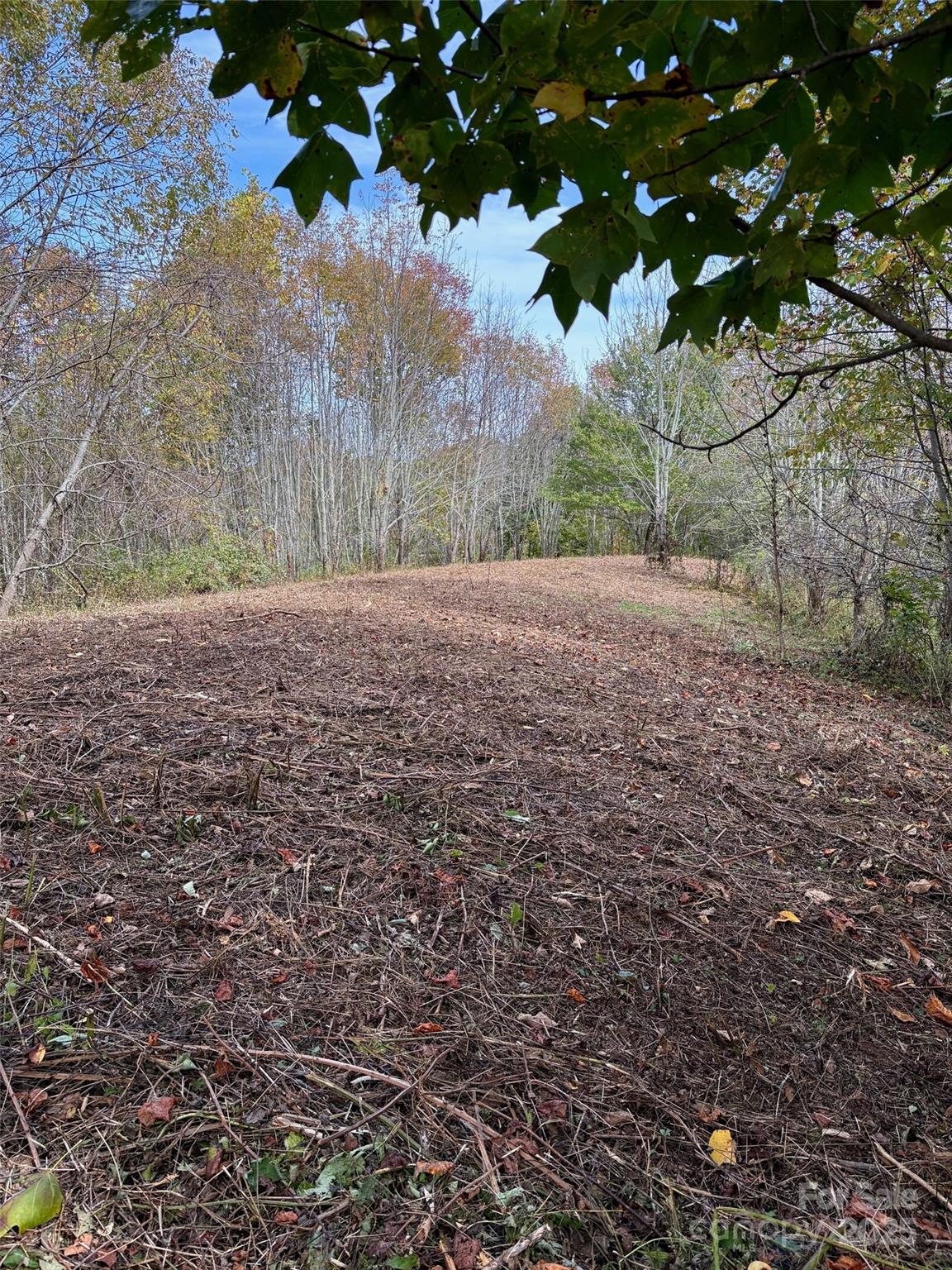 Tract 2 Turkey Trot Road Clyde NC 28721