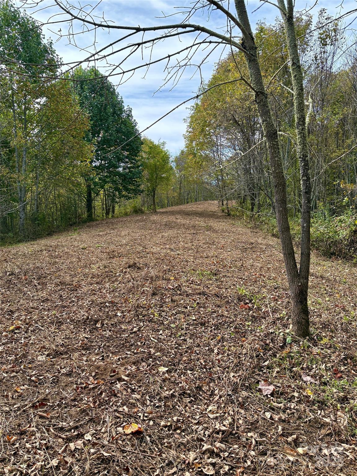 Tract 2 Turkey Trot Road Clyde NC 28721