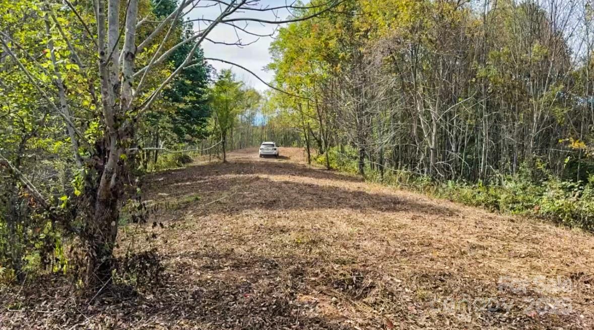 Tract 2 Turkey Trot Road Clyde NC 28721