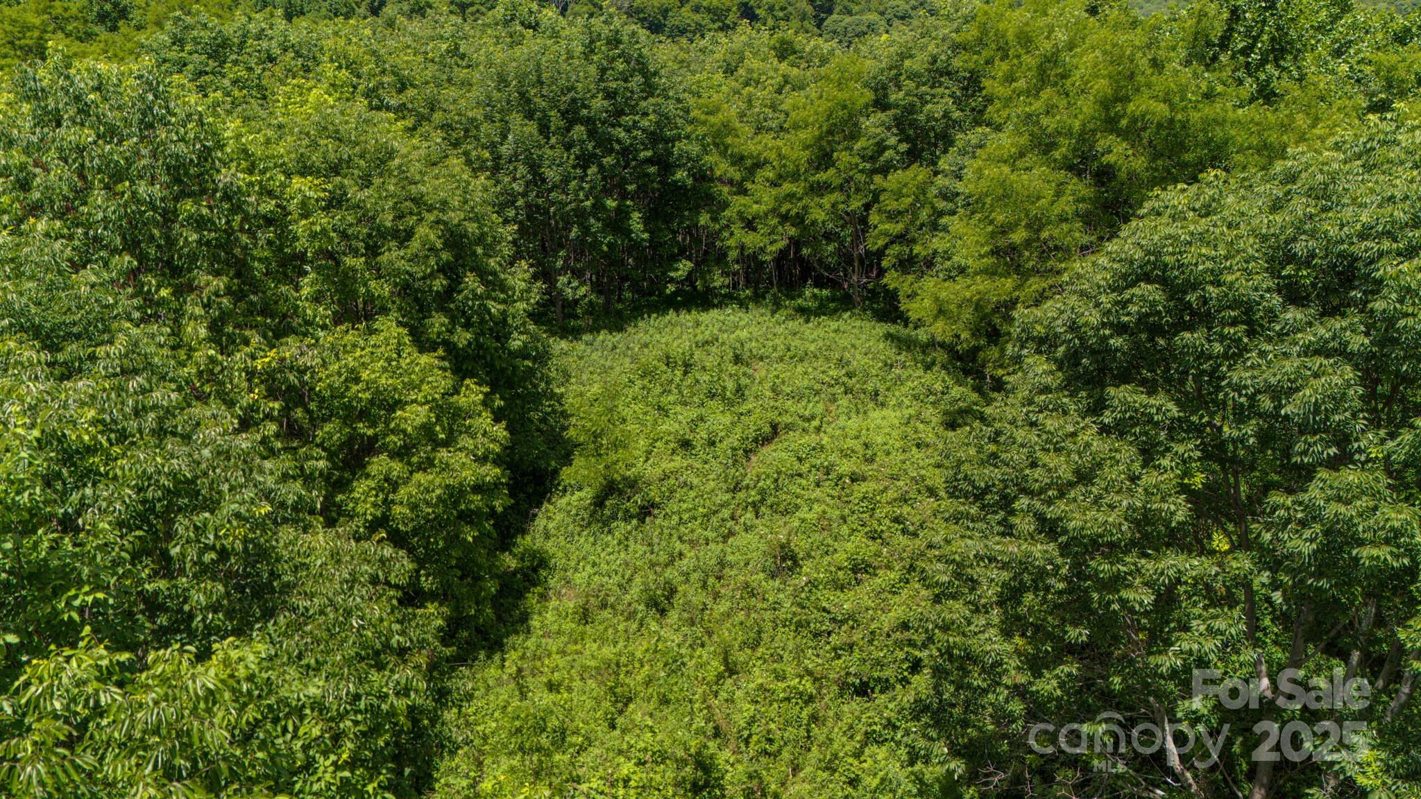 Tract 2 Turkey Trot Road Clyde NC 28721