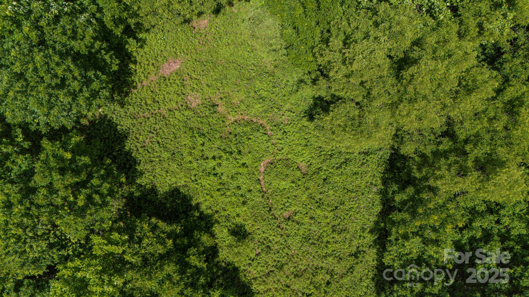 Tract 2 Turkey Trot Road Clyde NC 28721