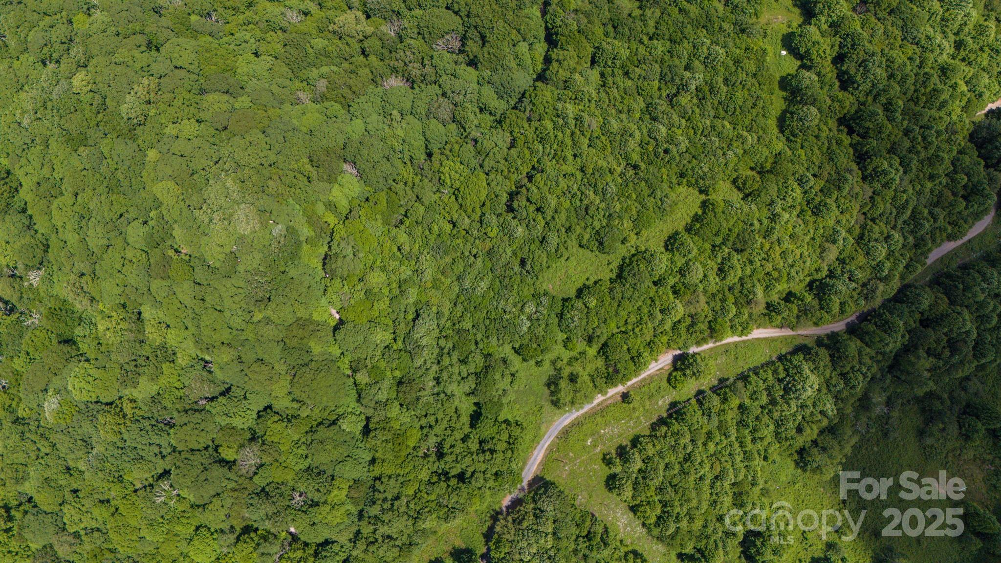 Tract 2 Turkey Trot Road Clyde NC 28721