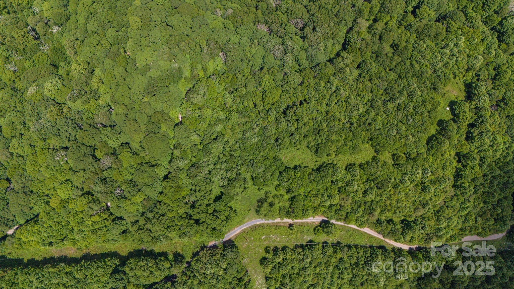 Tract 2 Turkey Trot Road Clyde NC 28721