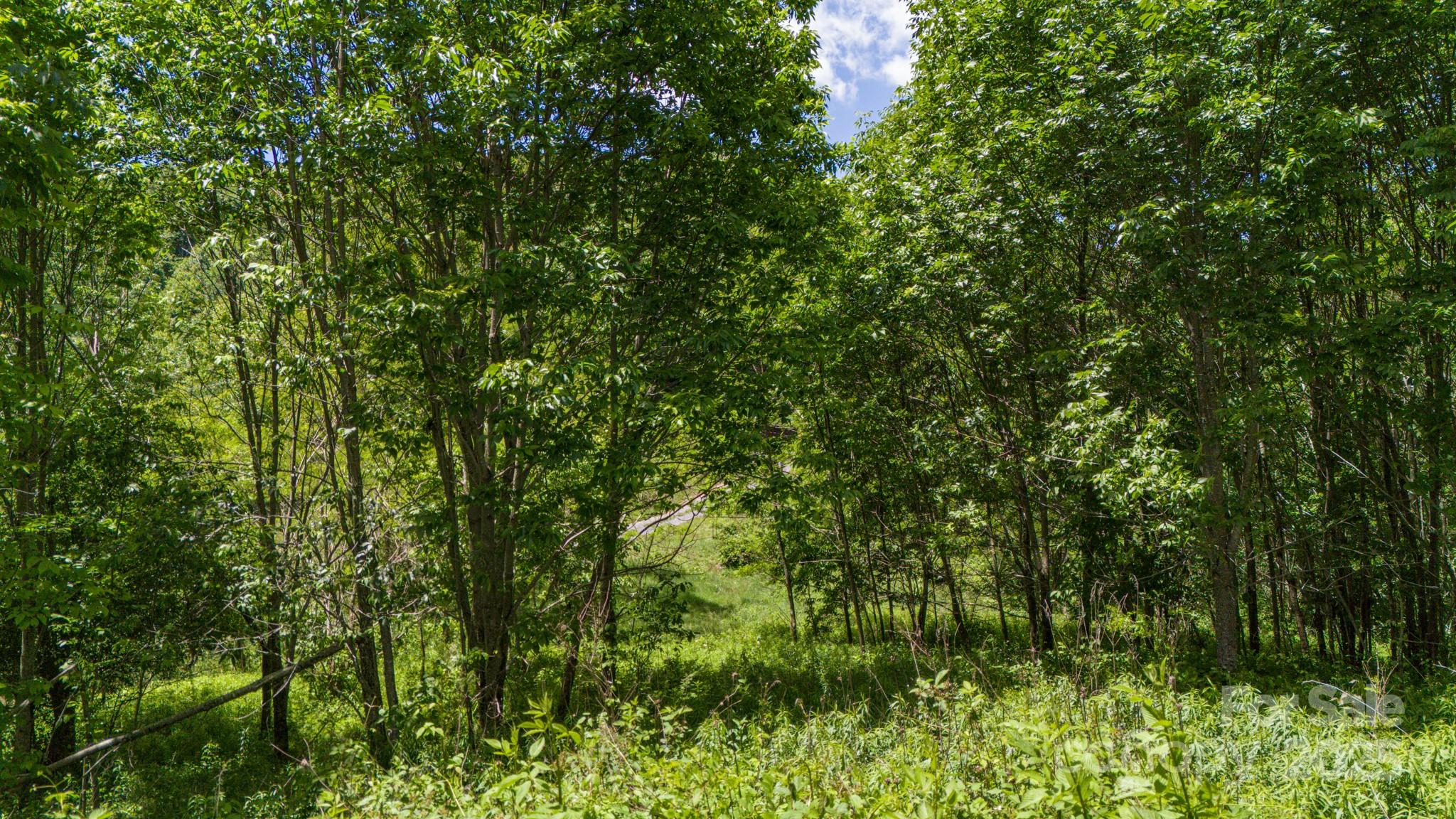 Tract 2 Turkey Trot Road Clyde NC 28721