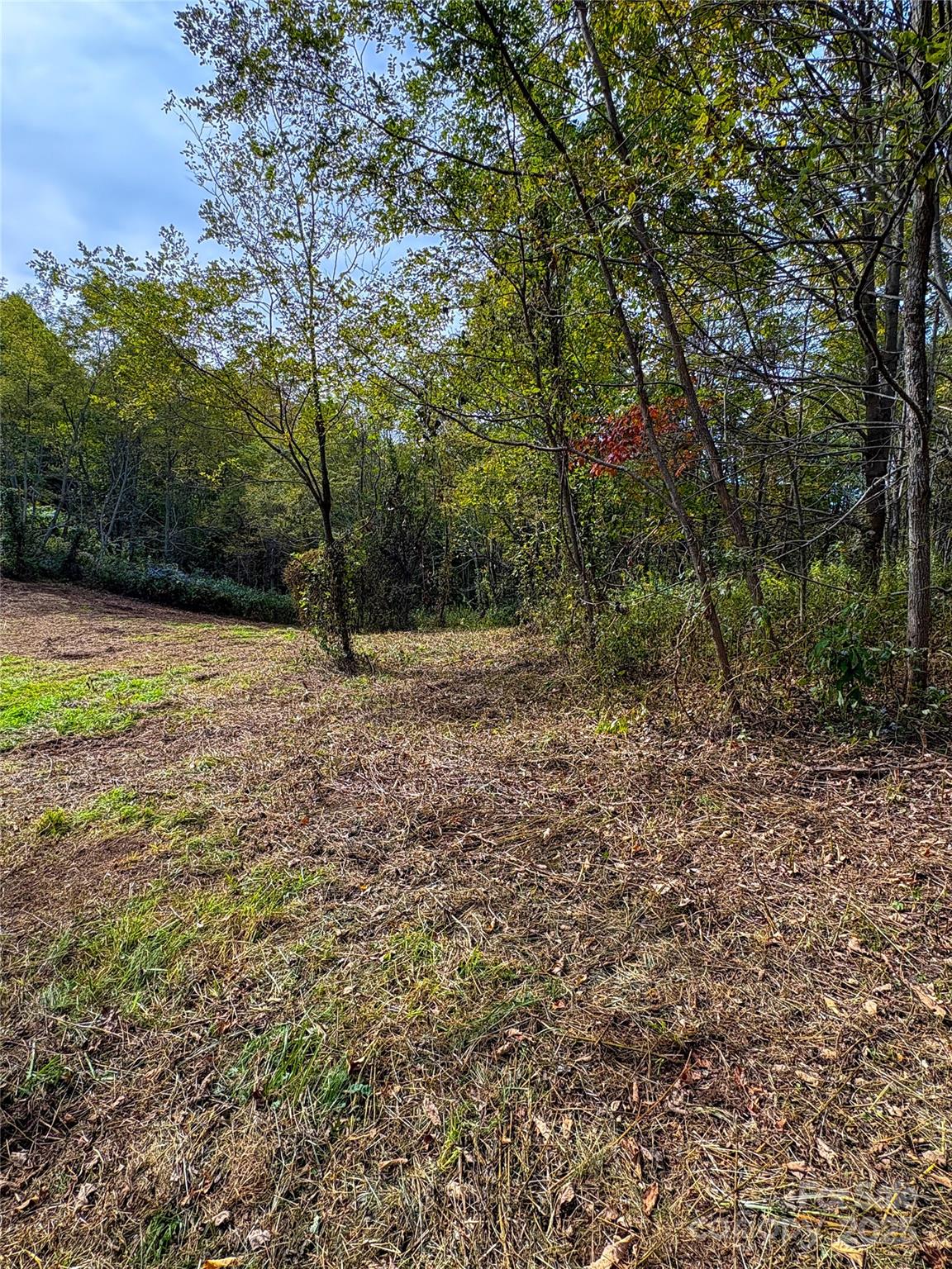 Tract 2 Turkey Trot Road Clyde NC 28721