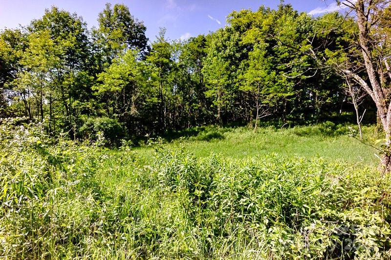 Tract 2 Turkey Trot Road Clyde NC 28721