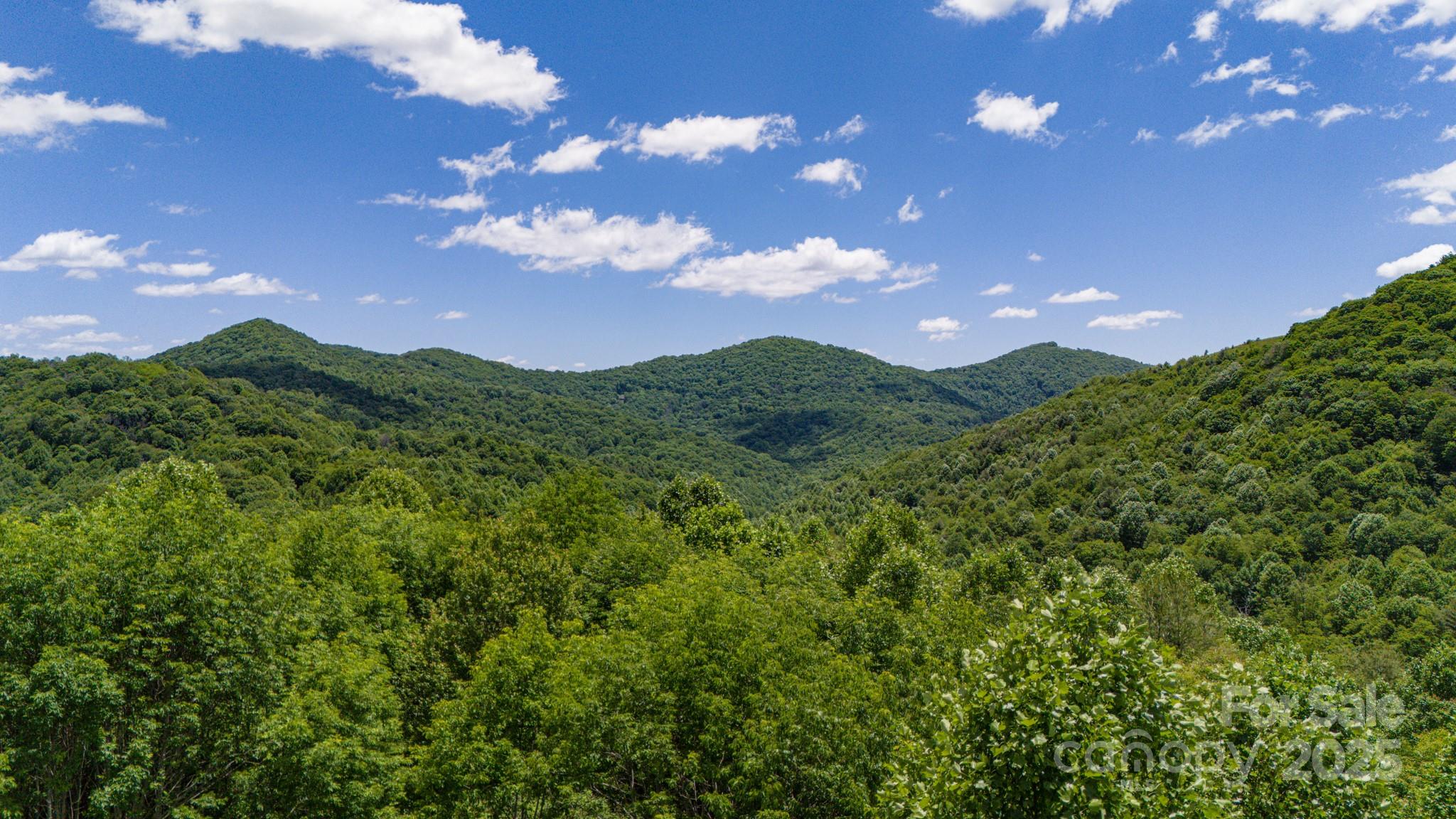 Tract 2 Turkey Trot Road Clyde NC 28721