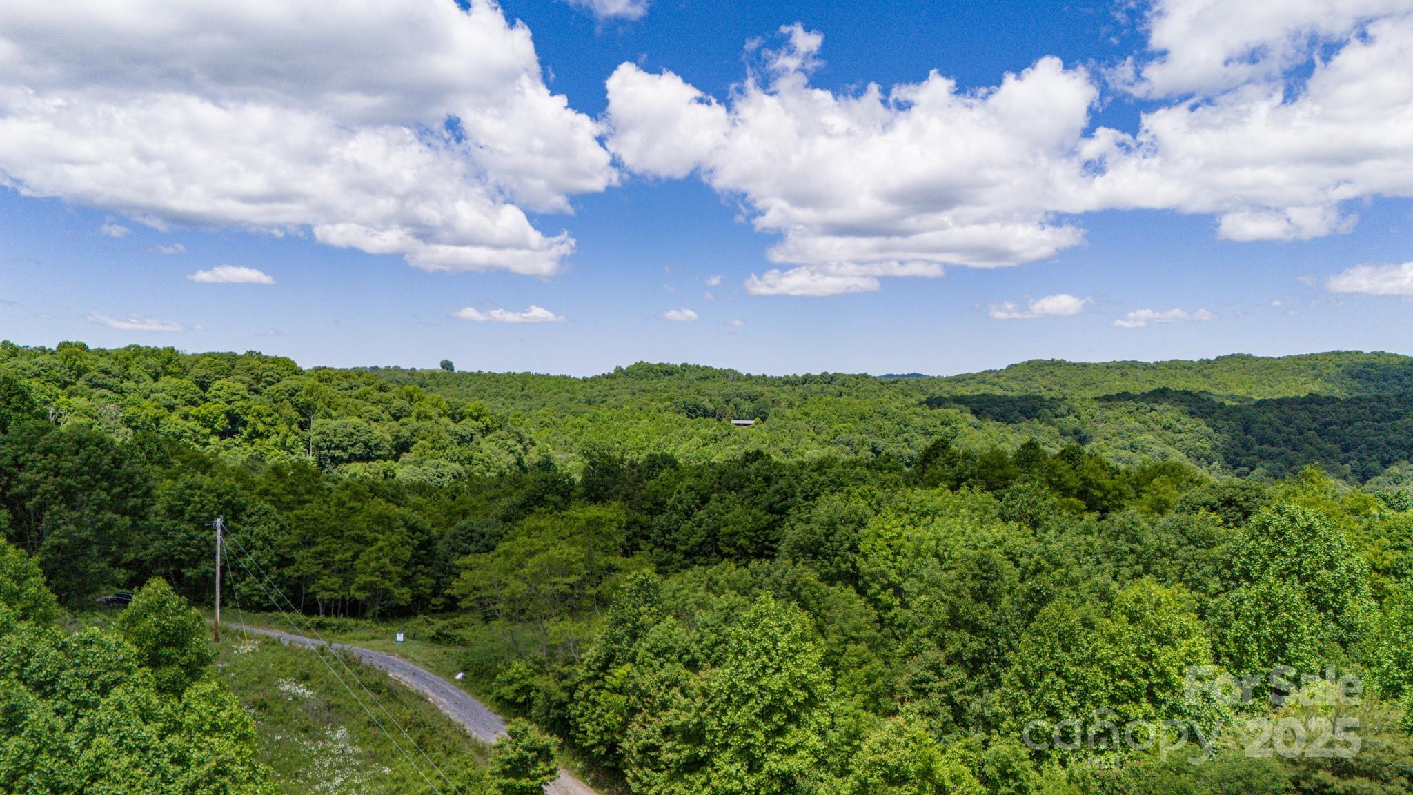 Tract 2 Turkey Trot Road Clyde NC 28721