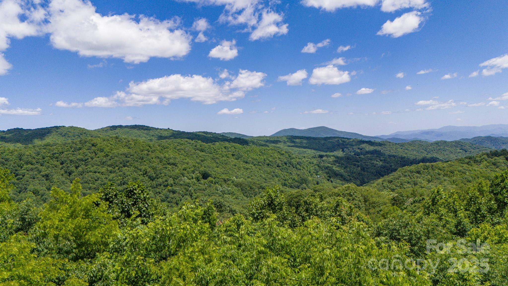 Tract 2 Turkey Trot Road Clyde NC 28721