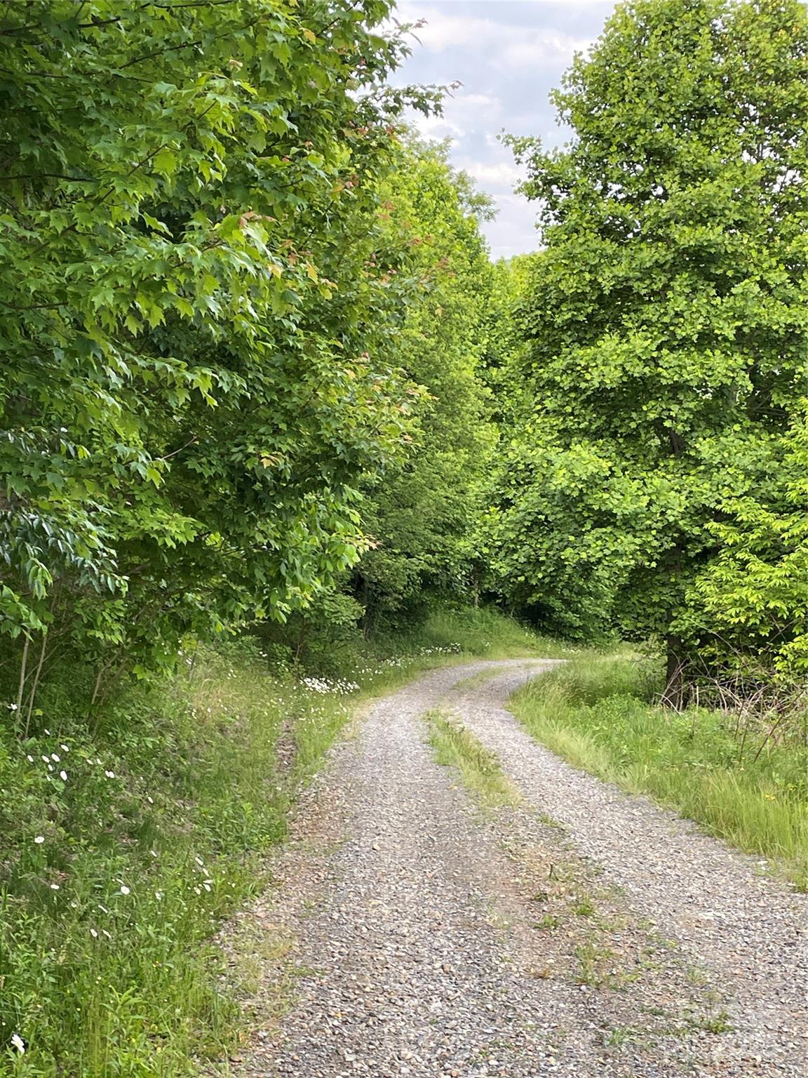 Tract 2 Turkey Trot Road Clyde NC 28721