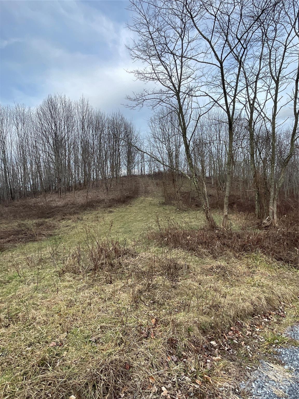 Tract 2 Turkey Trot Road Clyde NC 28721