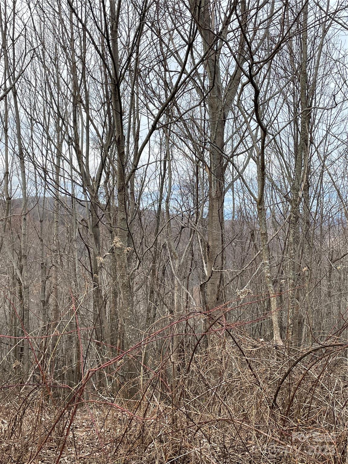 Tract 2 Turkey Trot Road Clyde NC 28721
