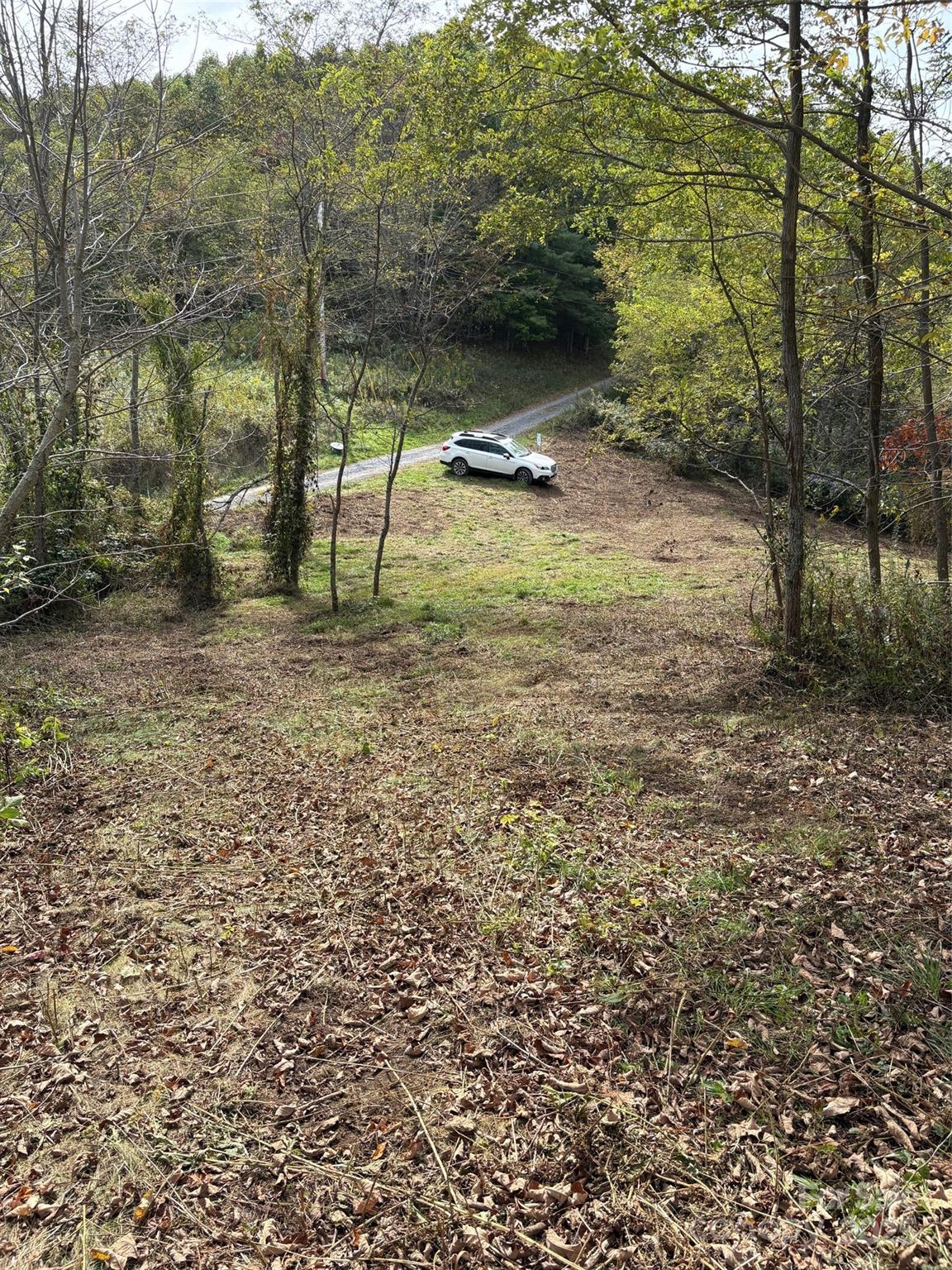 Tract 2 Turkey Trot Road Clyde NC 28721