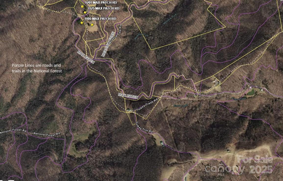 Tract 2 Turkey Trot Road Clyde NC 28721