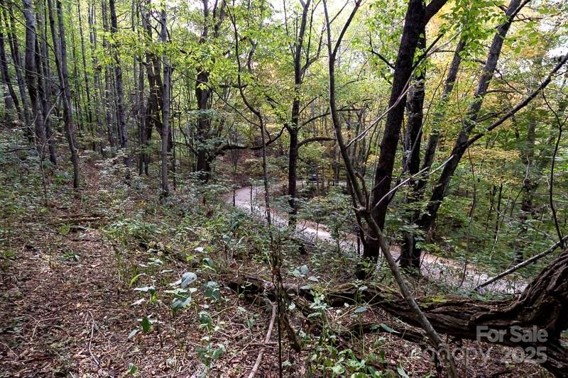 Tract 2 Turkey Trot Road Clyde NC 28721
