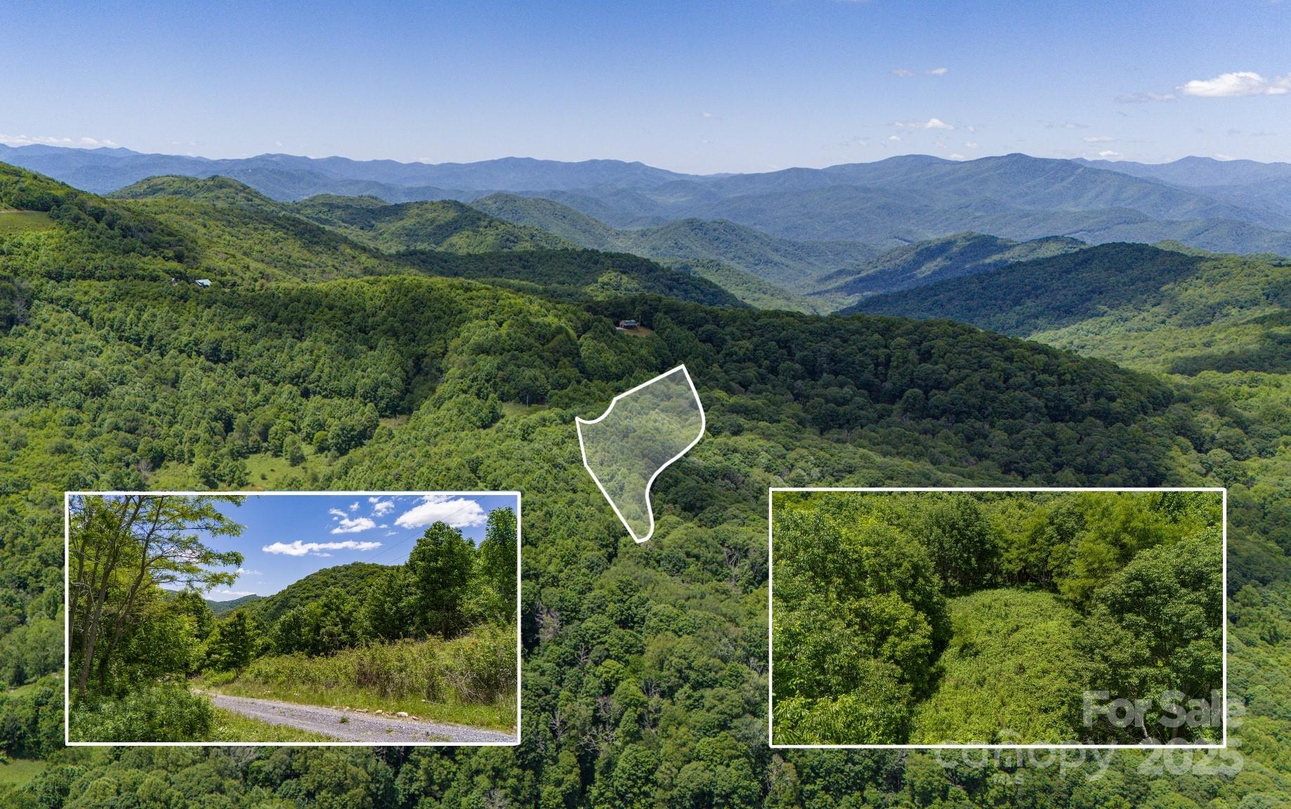 Tract 2 Turkey Trot Road Clyde NC 28721