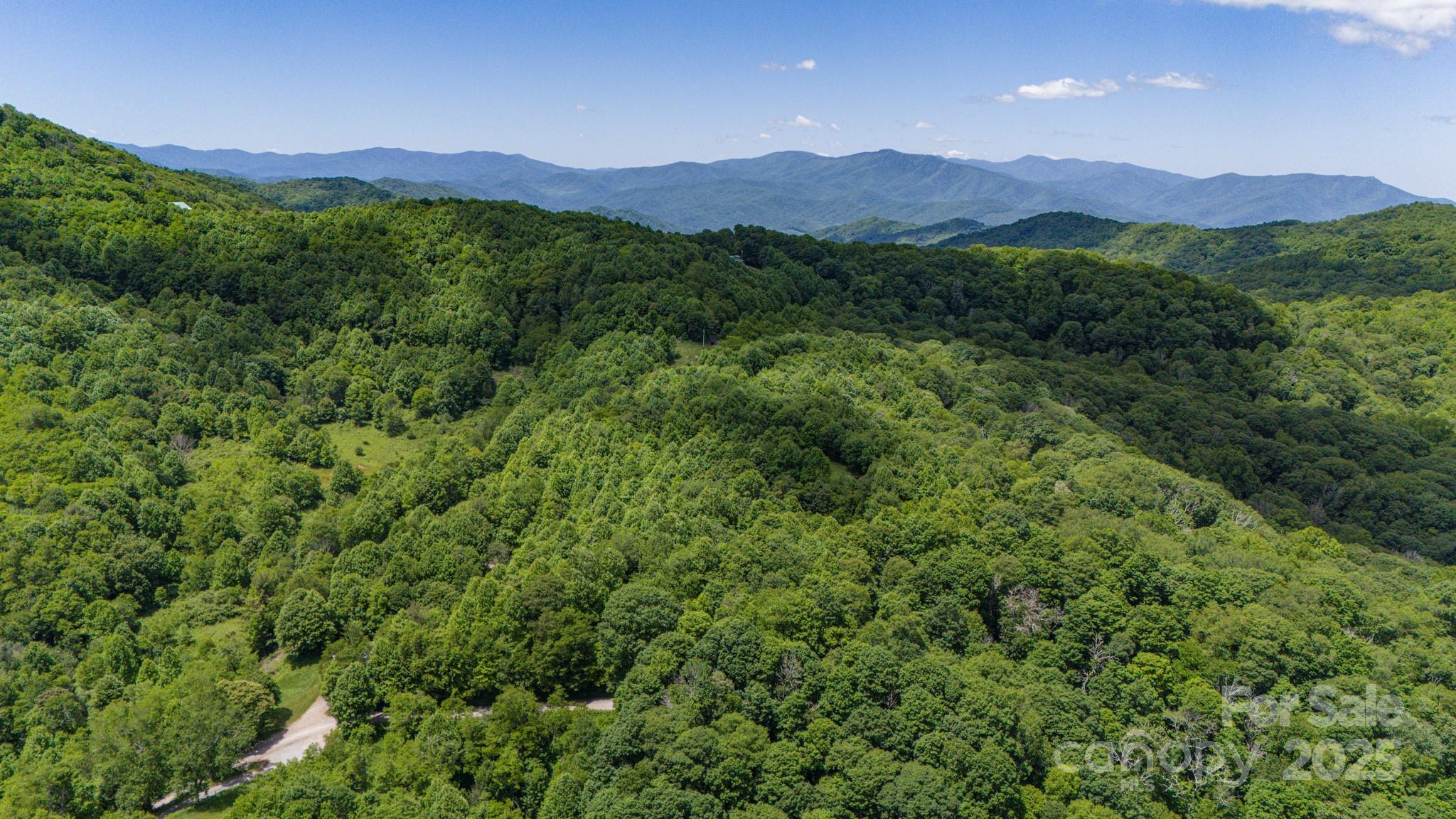 Tract 2 Turkey Trot Road Clyde NC 28721