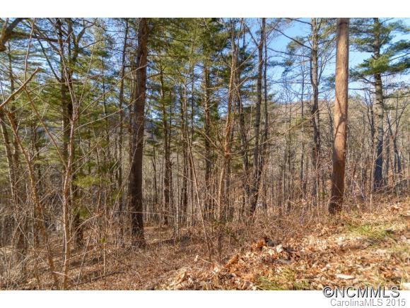 Lot 7 Brookwood Road Asheville NC 28804