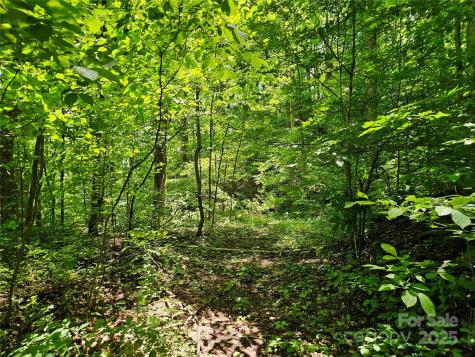 00 Owens Road Waynesville NC 28785