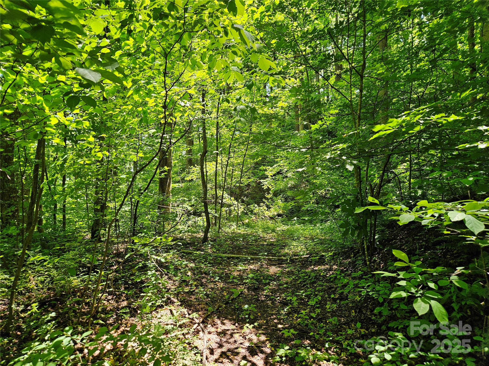00 Owens Road Waynesville NC 28785