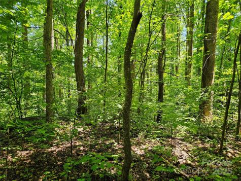 00 Owens Road Waynesville NC 28785