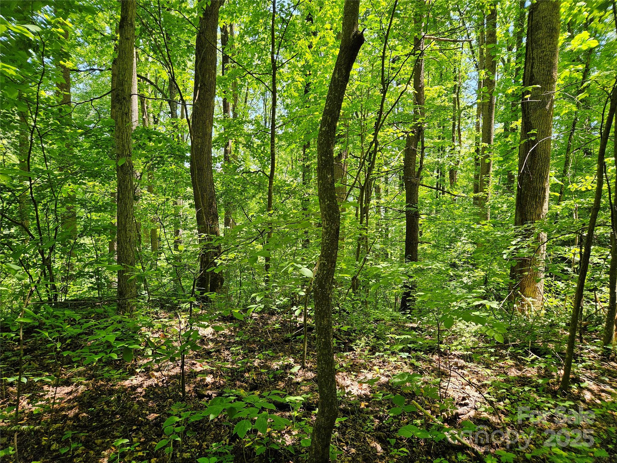 00 Owens Road Waynesville NC 28785