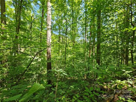 00 Owens Road Waynesville NC 28785