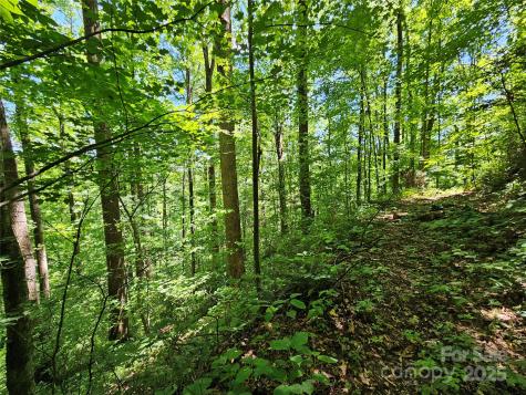 00 Owens Road Waynesville NC 28785