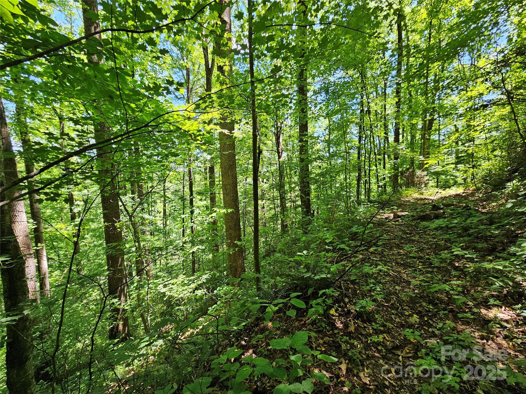 00 Owens Road Waynesville NC 28785