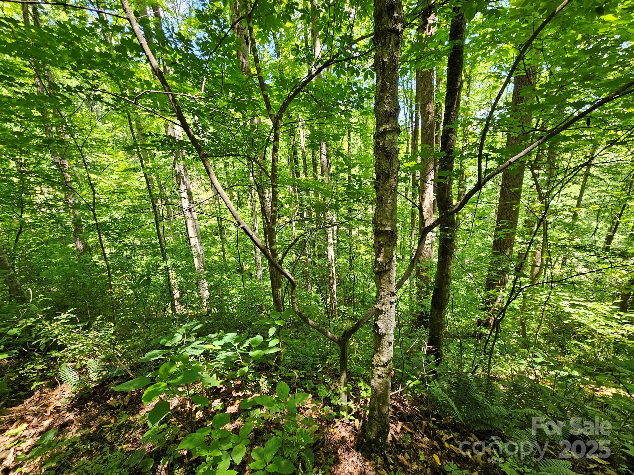 00 Owens Road Waynesville NC 28785