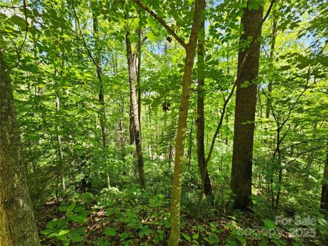 00 Owens Road Waynesville NC 28785