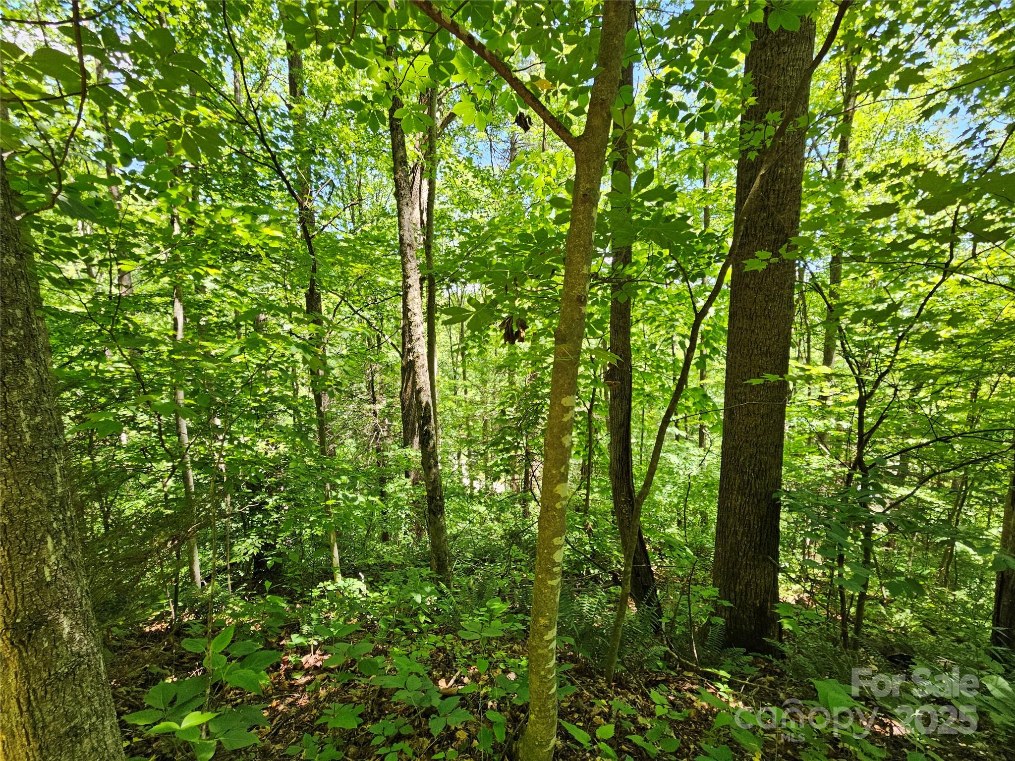 00 Owens Road Waynesville NC 28785